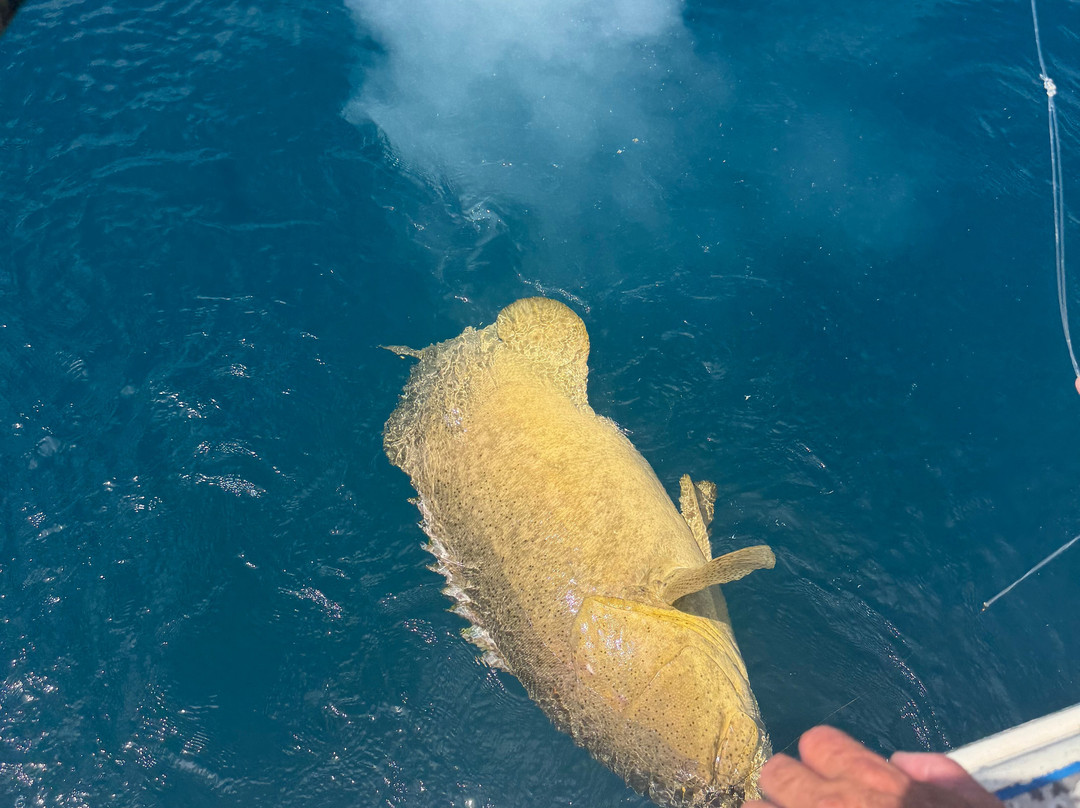 Paradise Fishing Charters-Cape Haze必去景点