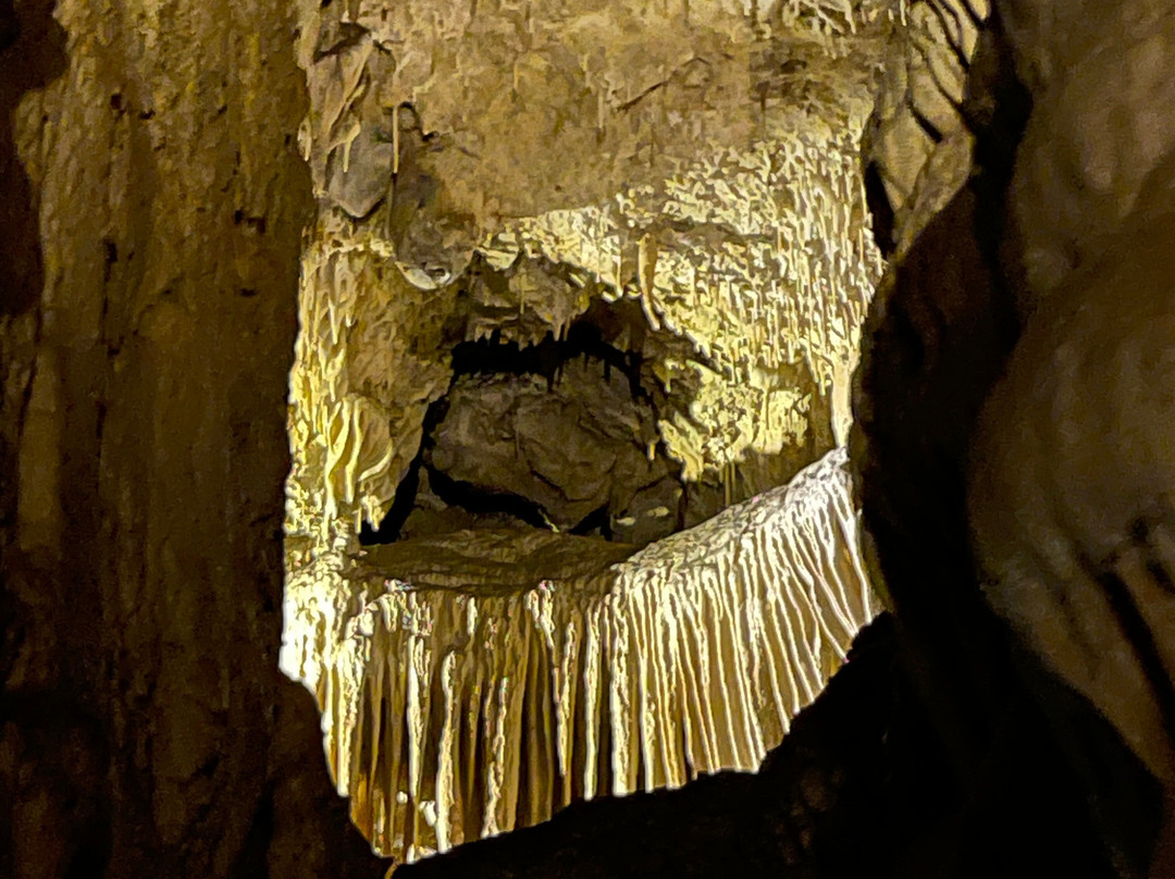 Sequoia Parks Conservancy-Three Rivers必去景点