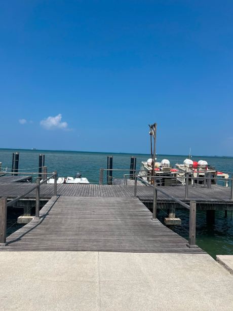 Cempedak Private Island-旅行者