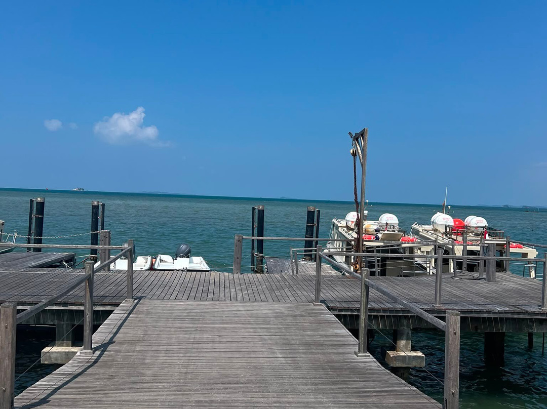 Cempedak Private Island主图