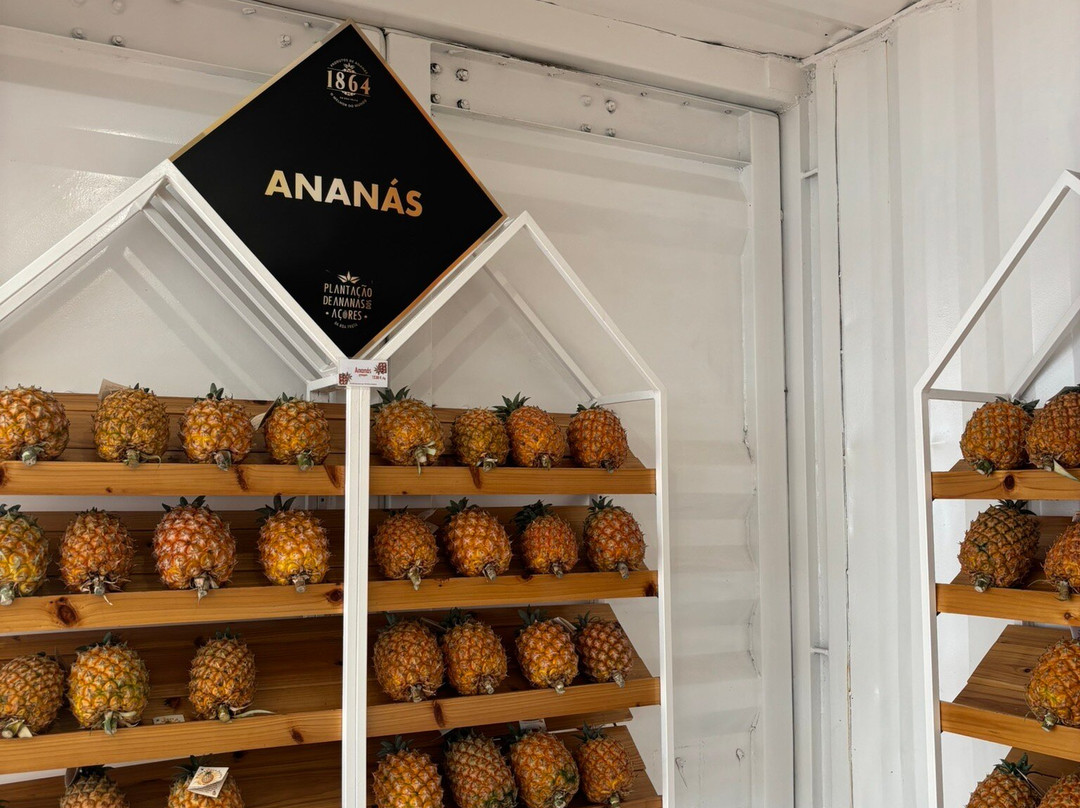Plantação de Ananás dos Açores-蓬塔德尔加达必去景点
