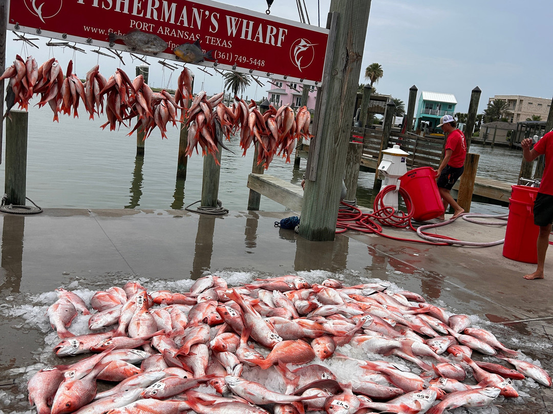 Port Aransas Fishermans Wharf-阿兰瑟斯港必去景点