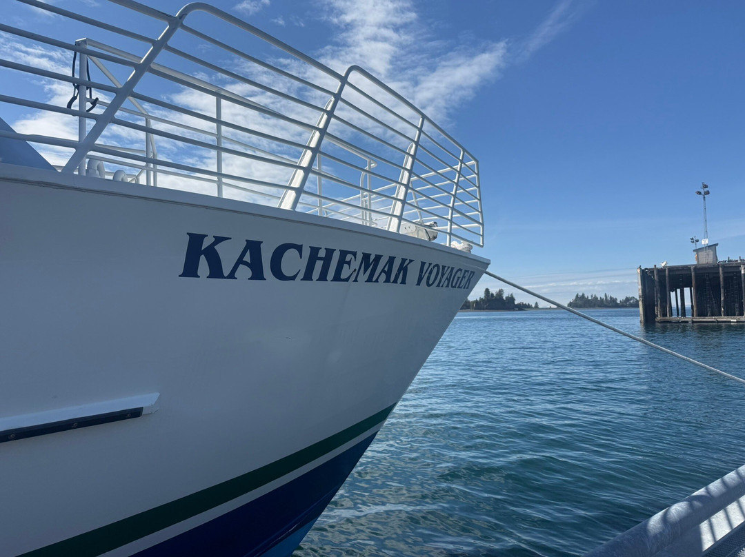 Seldovia Bay Ferry-荷马必去景点