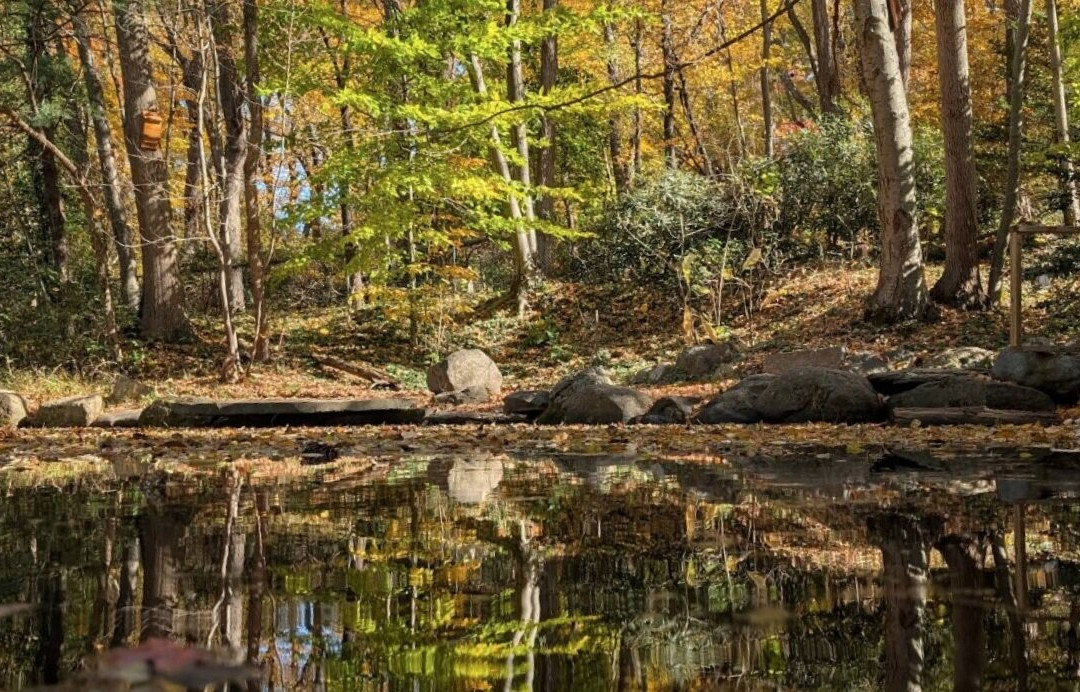Briar Bush Nature Center
