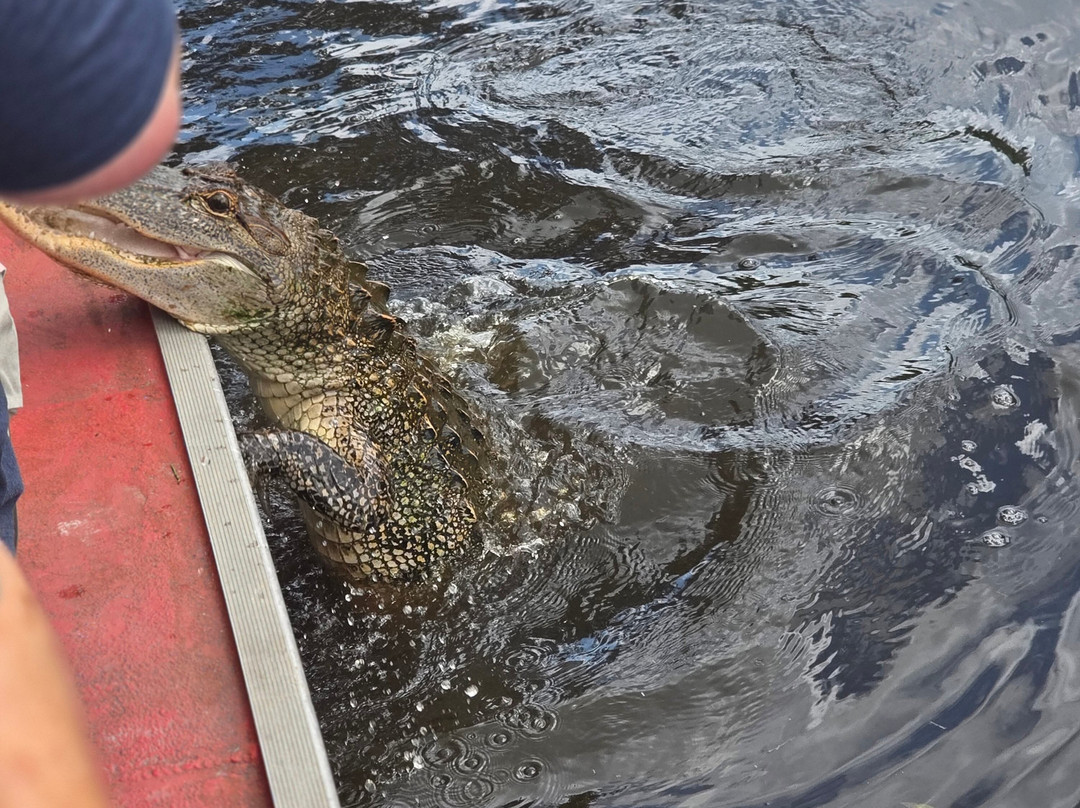 Ragin Cajun Airboat Tours-新奥尔良必去景点