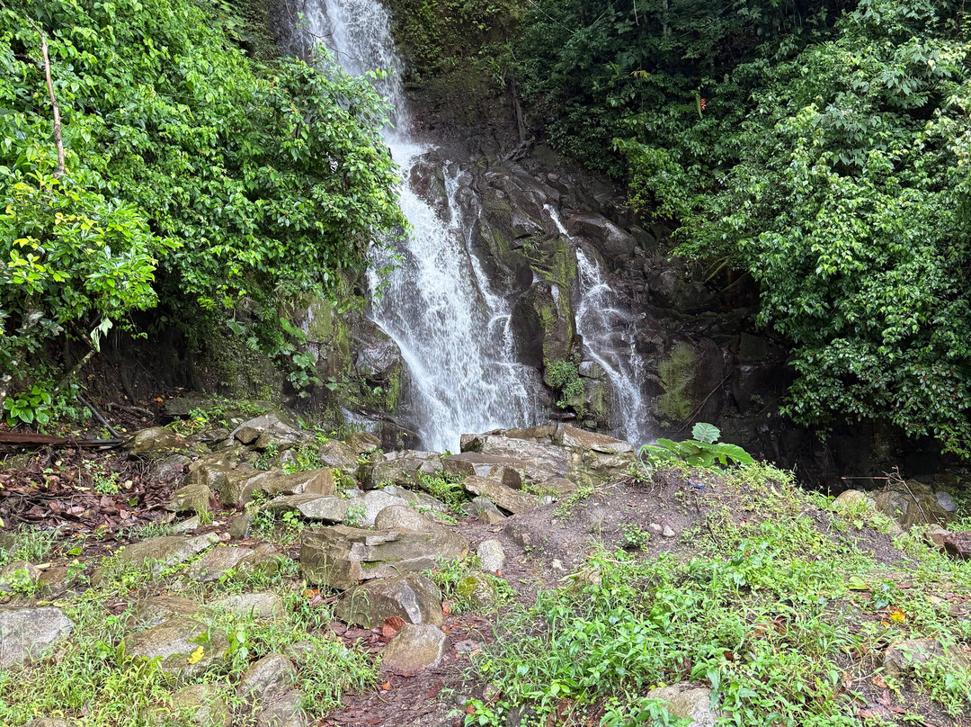 Retire in Panama Tours | Move to Panama | Panama Relocation Experts-波魁特必去景点