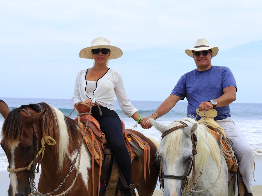Vista Paraiso - Day Tours and Activities-Higuera Blanca必去景点