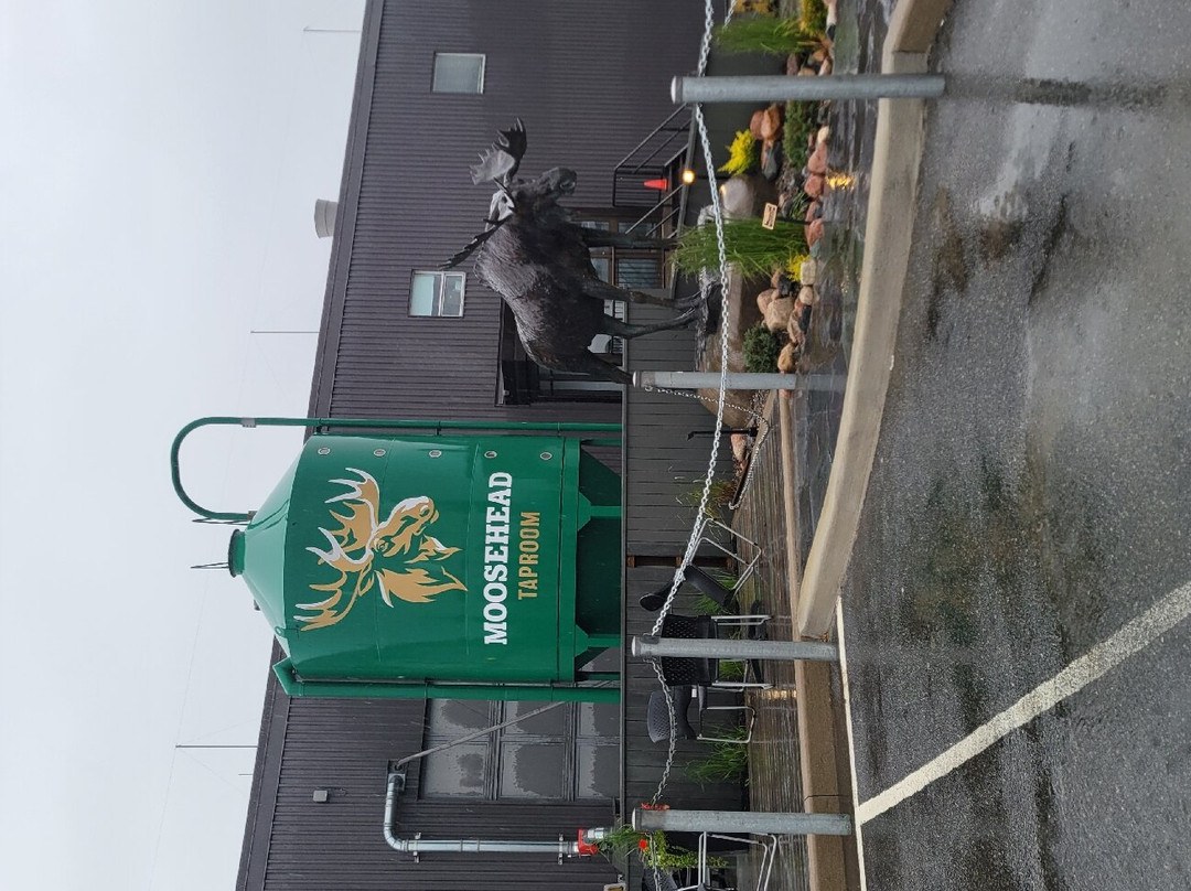 Moosehead Breweries-圣约翰必去景点
