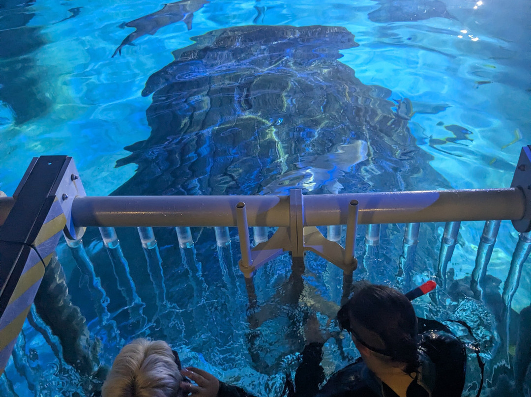 Sea Life Manchester-Trafford Park必去景点