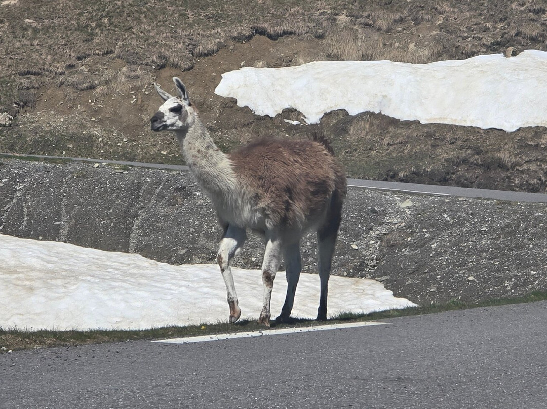 Col de Tourmalet-La Mongie必去景点