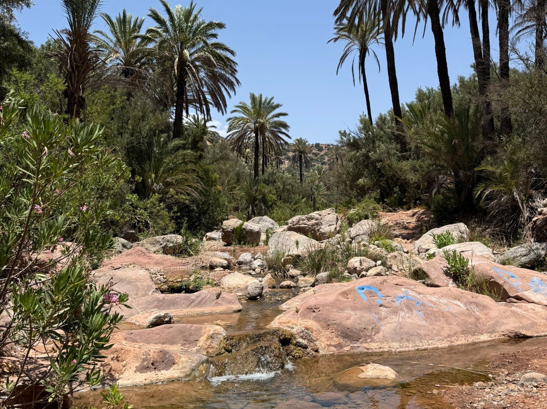 Tayyu Hiking-Taghazout必去景点