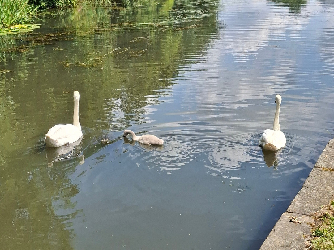 Erewash Canal-Langley Mill必去景点