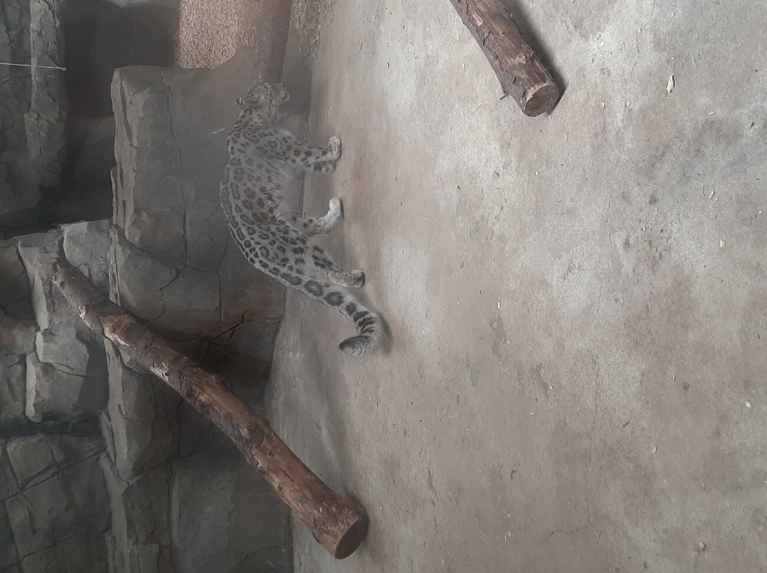 Northumberland Zoo-莫佩思必去景点