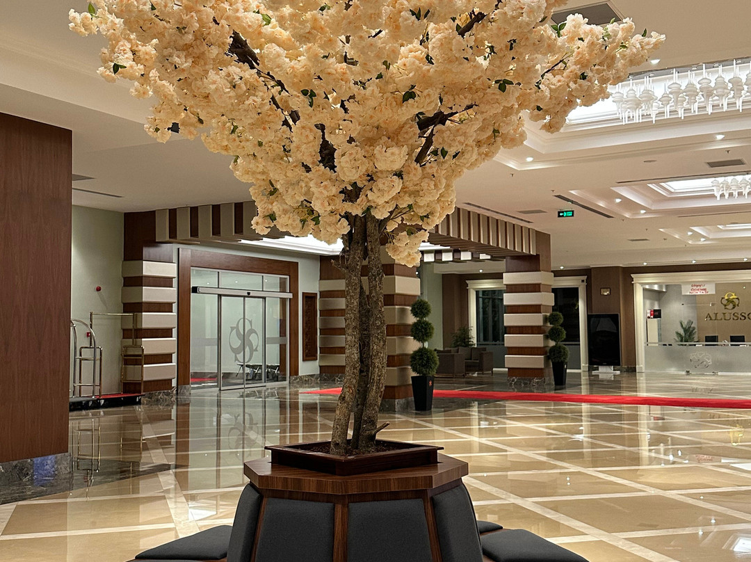 Alusso Thermal Hotel & Spa 阿鲁索温泉酒店及水疗中心主图
