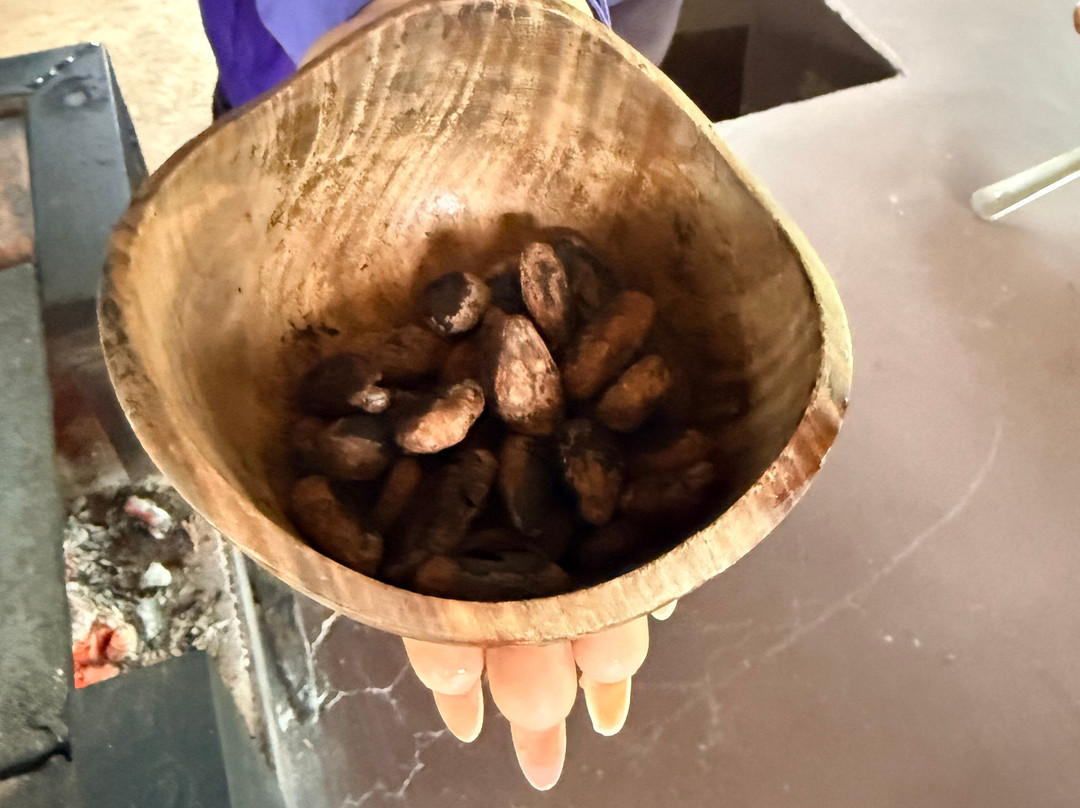 Cafe & Cacao Tour Bijagua-Bijagua de Upala必去景点