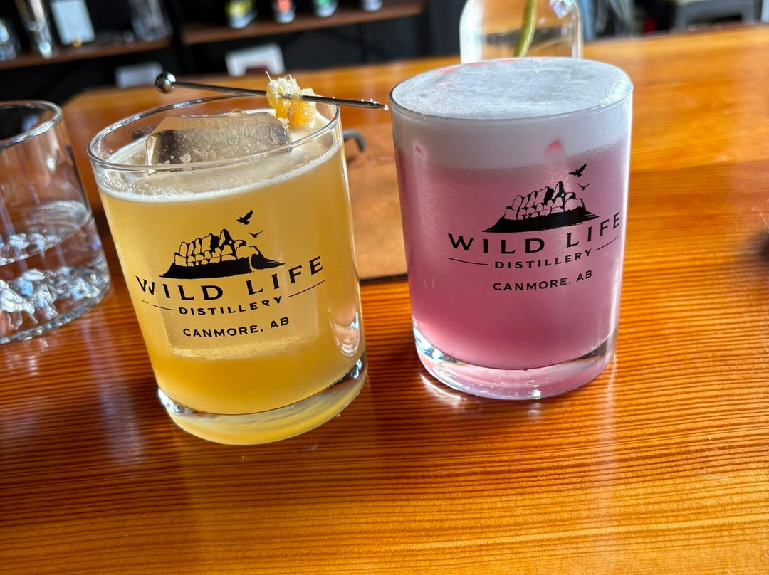 Wild Life Distillery-坎莫尔必去景点