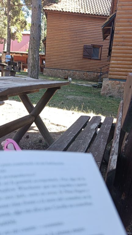 艾柯萨雷特德普拉德公寓式酒店-旅行者