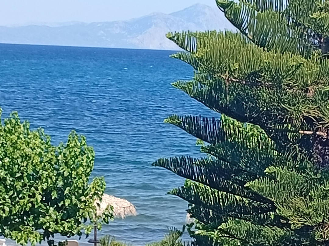 艾沃克斯海滩度假村主图