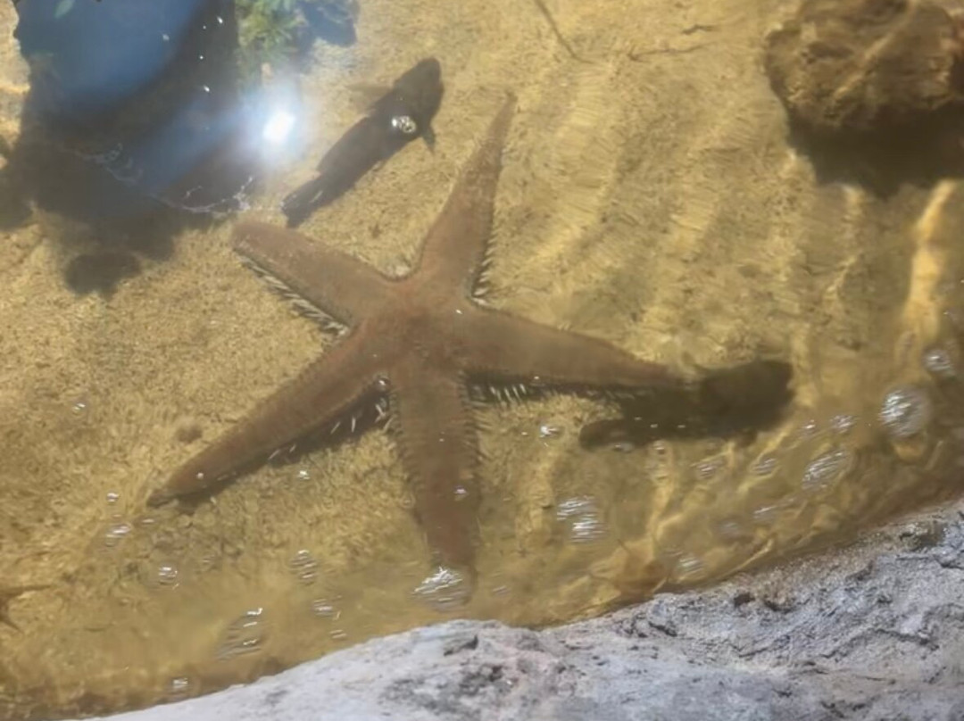 Aquarium Of Faliraki (Aquaworld)-Faliraki必去景点