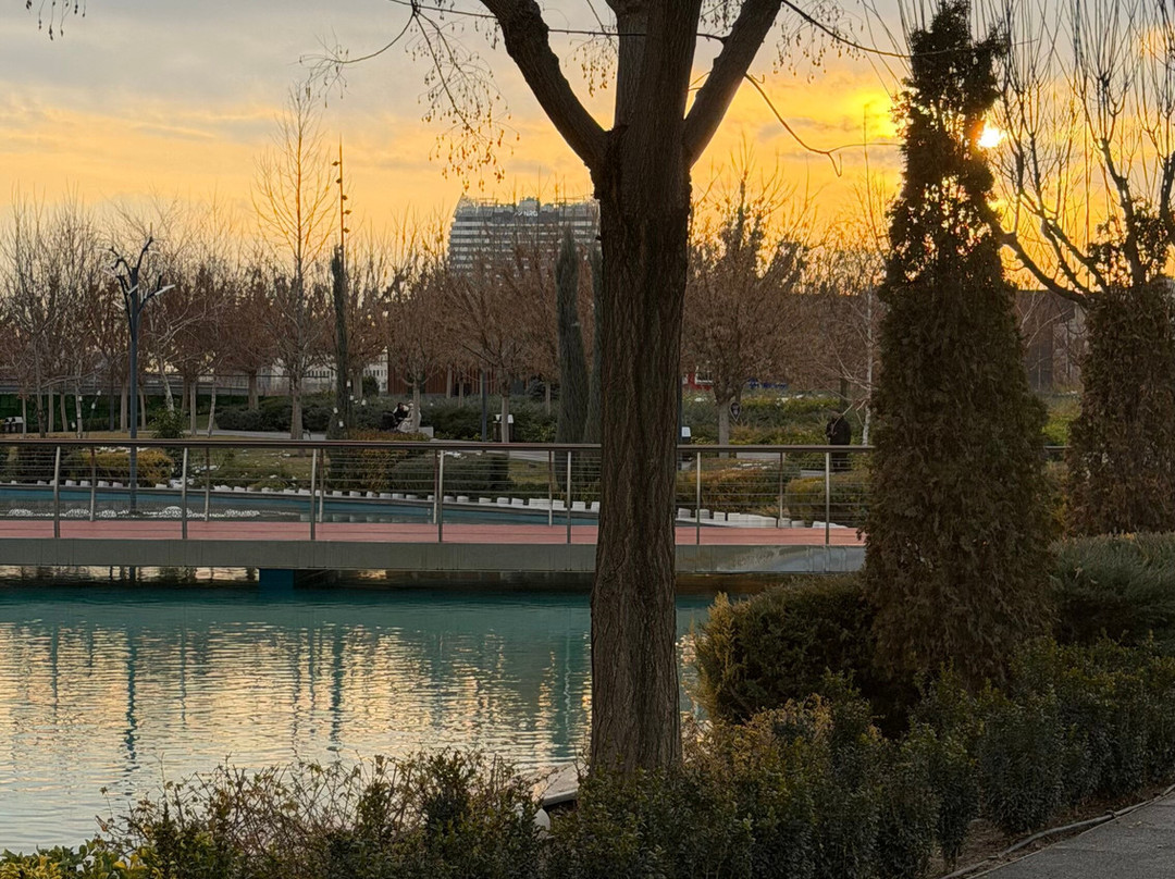 Tashkent City Park-塔什干必去景点