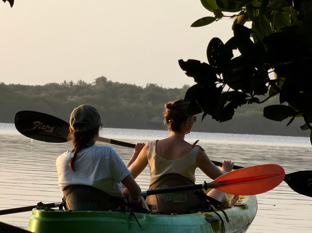 Kayak journey-Rekawa必去景点