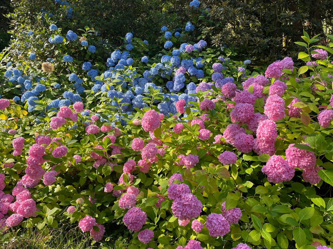 Upton Castle Gardens-Cosheston必去景点