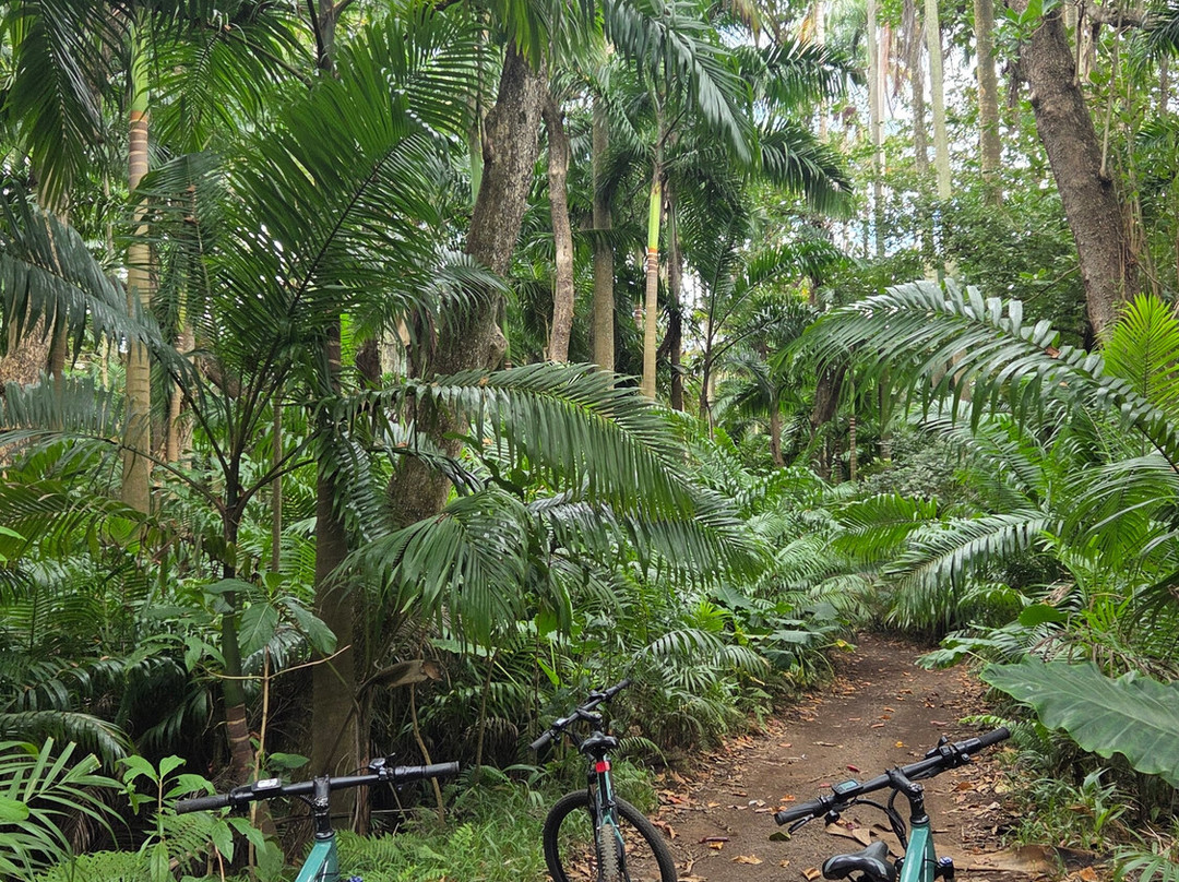 South Adventure Experience Ltd-钱米格兰尼尔必去景点