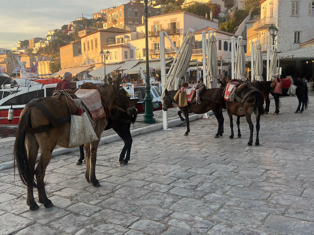 Hydra Walking Tours-Hydra Town必去景点