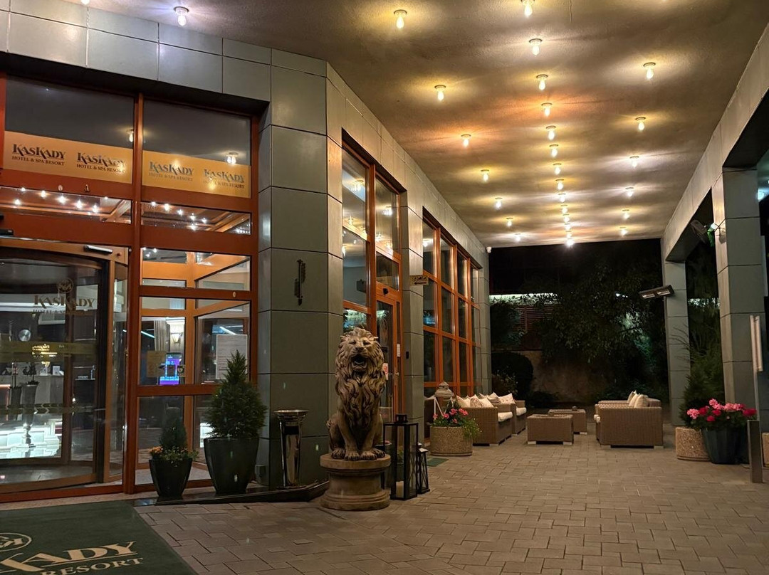 健康与水疗酒店 Kaskady主图
