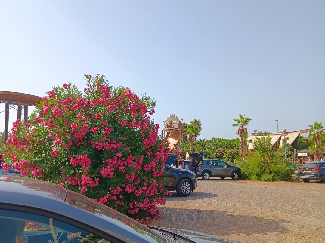 Acqua Village Cecina-Cecina必去景点