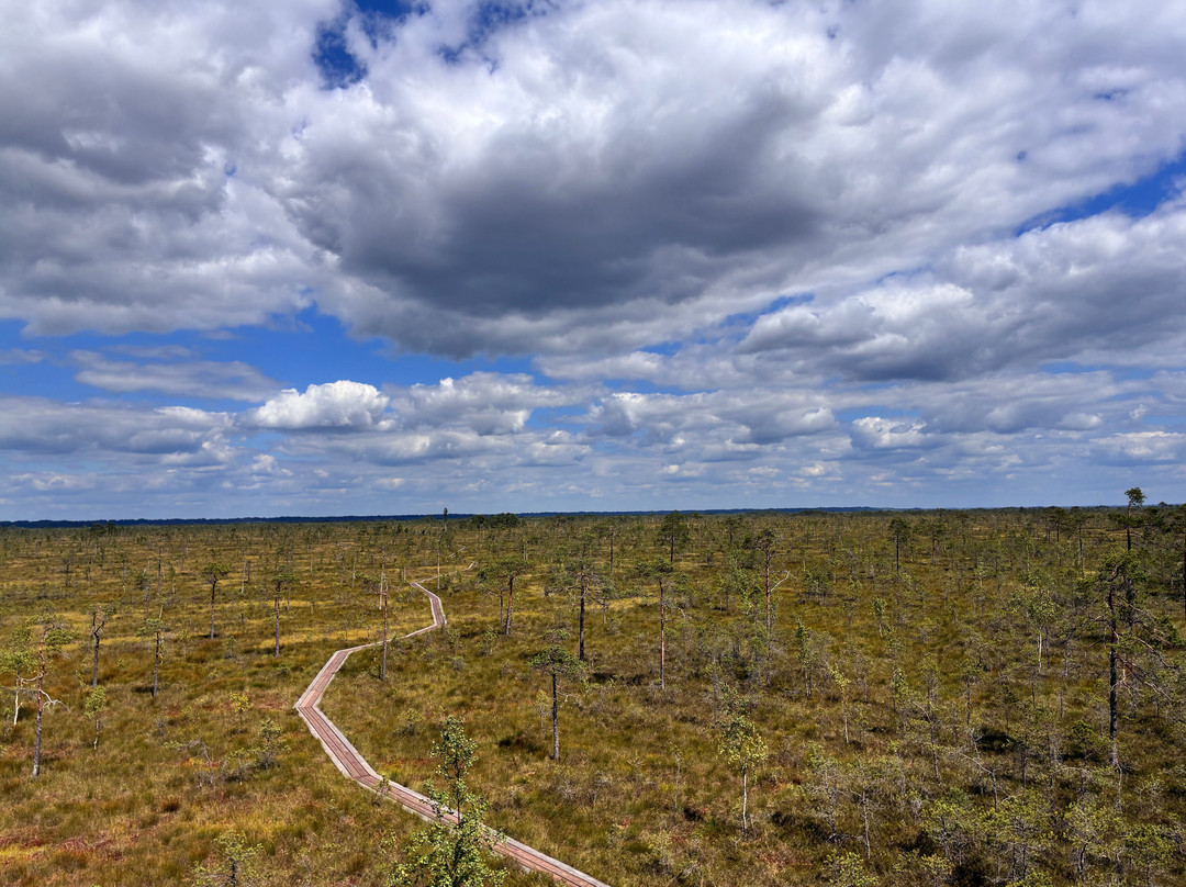 Wilderness Experiences in Soomaa National Park-派尔努必去景点