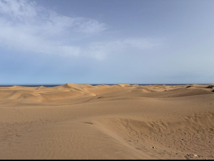 Reserva Natural Especial de Las Dunas de Maspalomas-马斯帕洛马斯必去景点