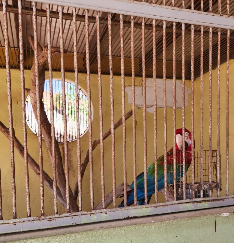 Philip's Animal Garden-Noord必去景点