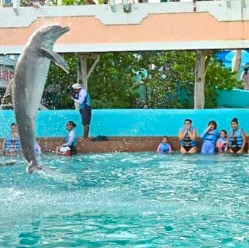 互动式水族馆-坎昆必去景点