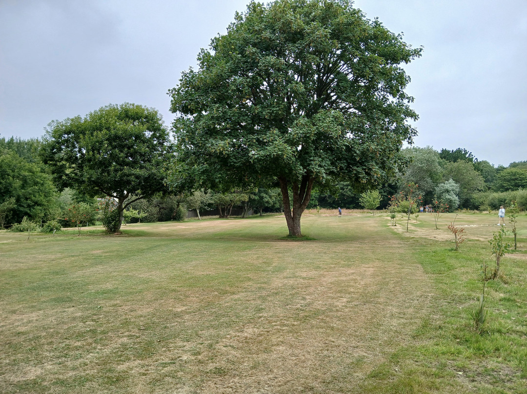 Penwith Pitch and Putt-St Erth必去景点