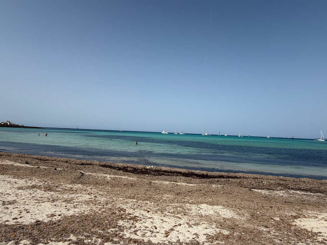 Platja d'es Trenc-Campos必去景点
