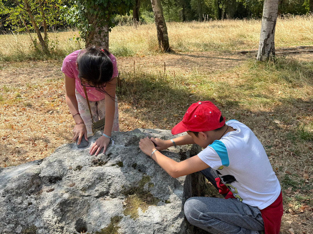 Megaliths of Carnac-卡纳克必去景点
