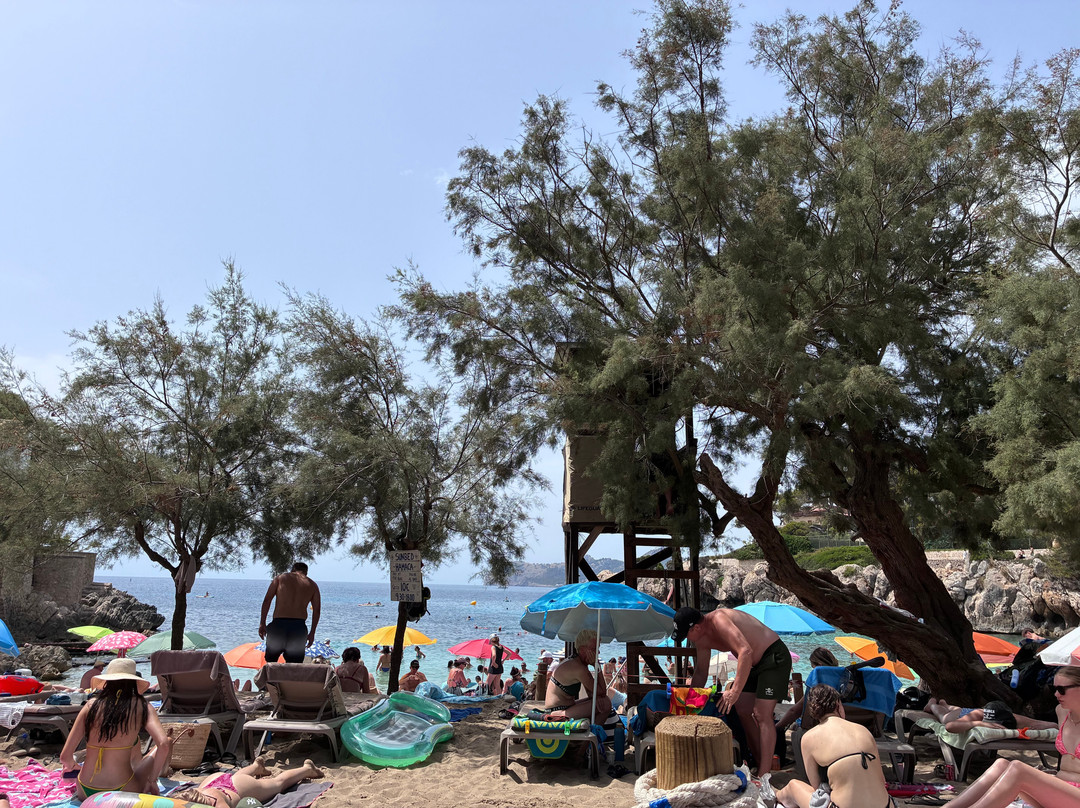 Cala Gat-Cala Ratjada必去景点