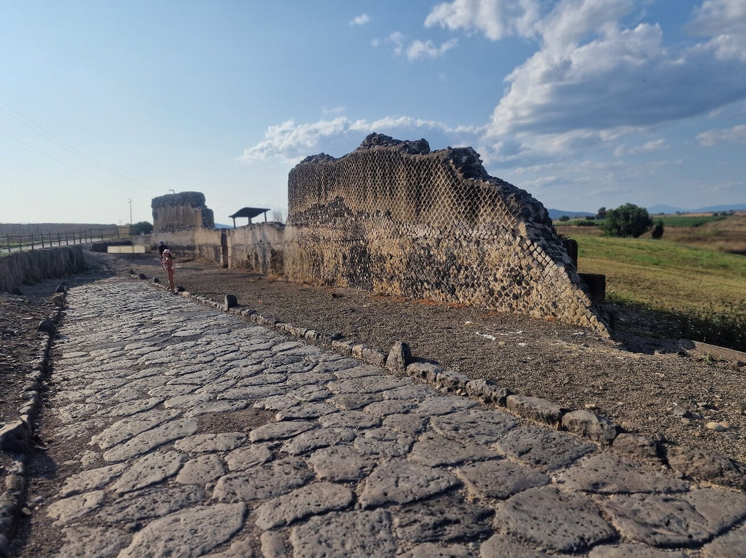 Parco Archeologico Naturalistico di Vulci-Montalto di Castro必去景点