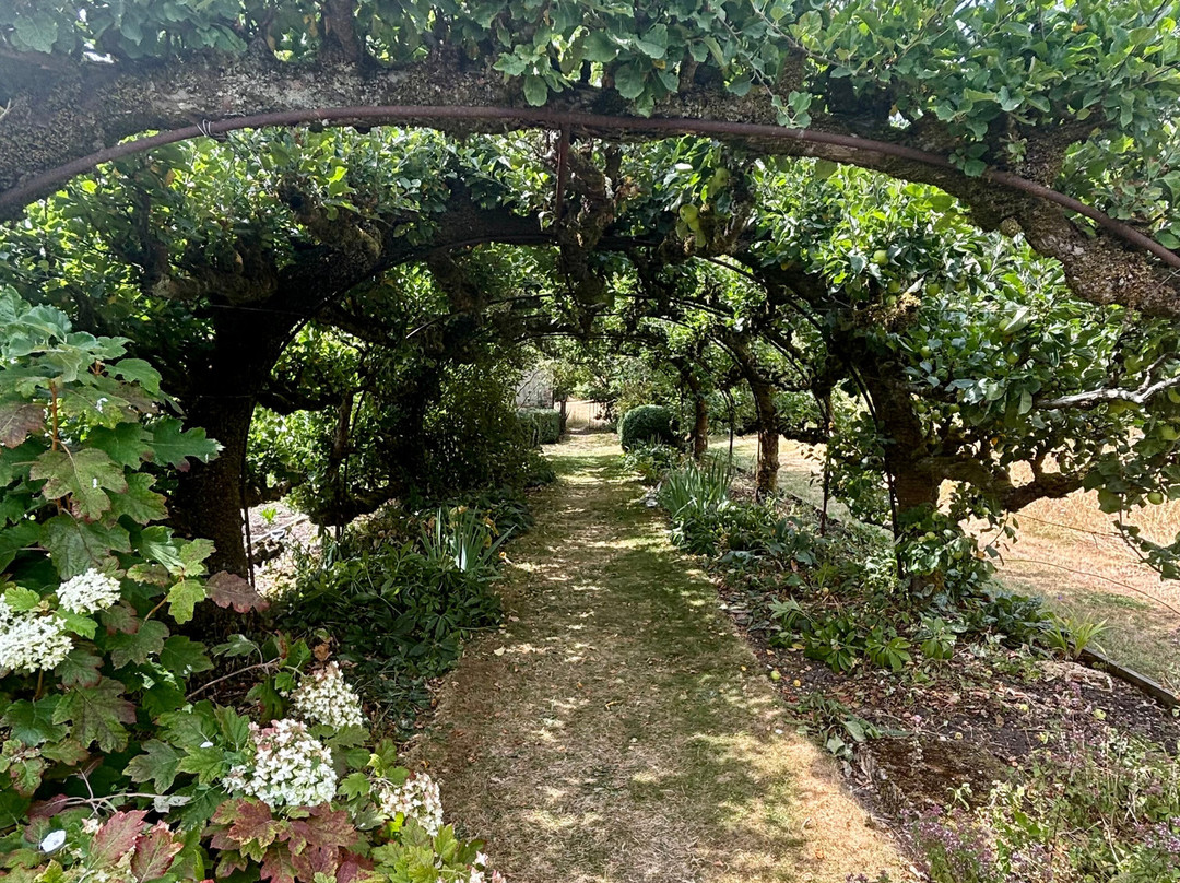 Heale Gardens-Middle Woodford必去景点