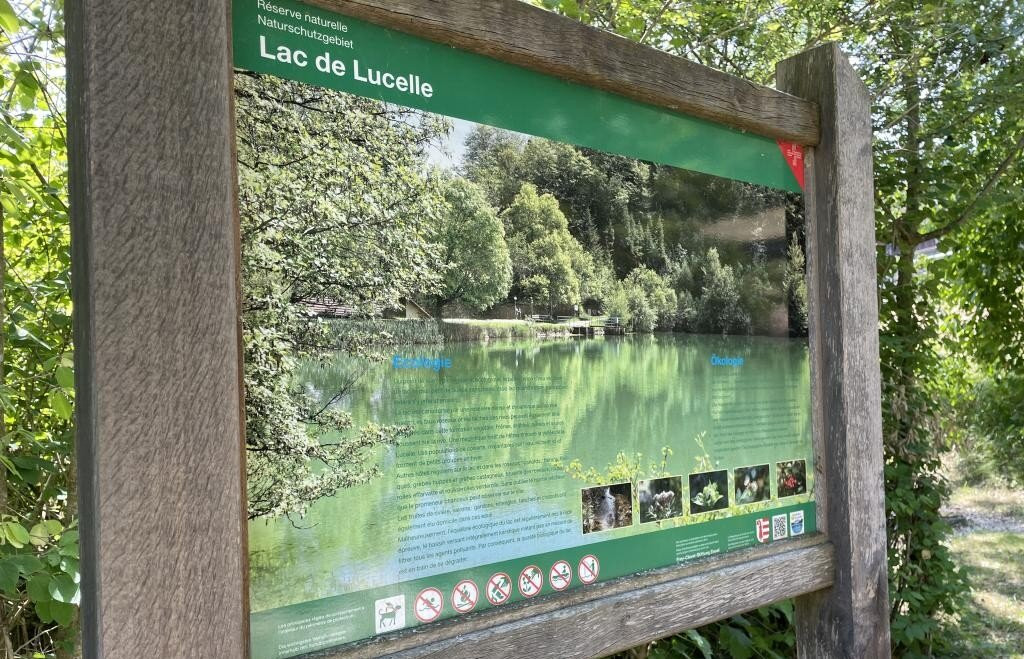 Etang de Lucelle-Lucelle必去景点