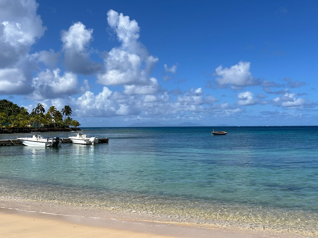Curtain Bluff Resort主图