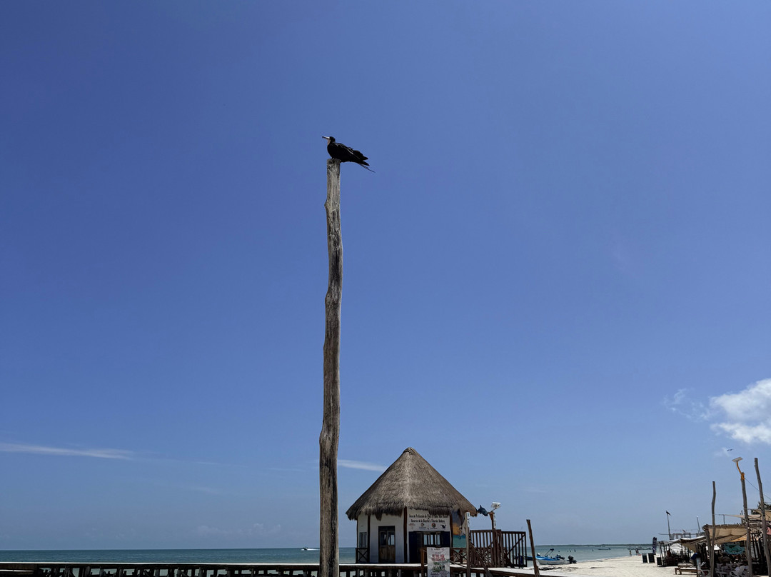 Isla de Holbox-Holbox Island必去景点