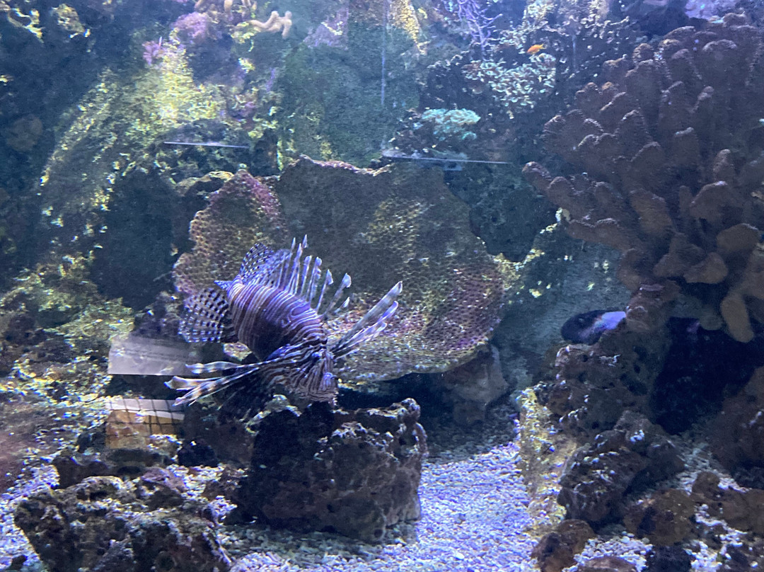 Aquarium du Limousin-利摩日必去景点