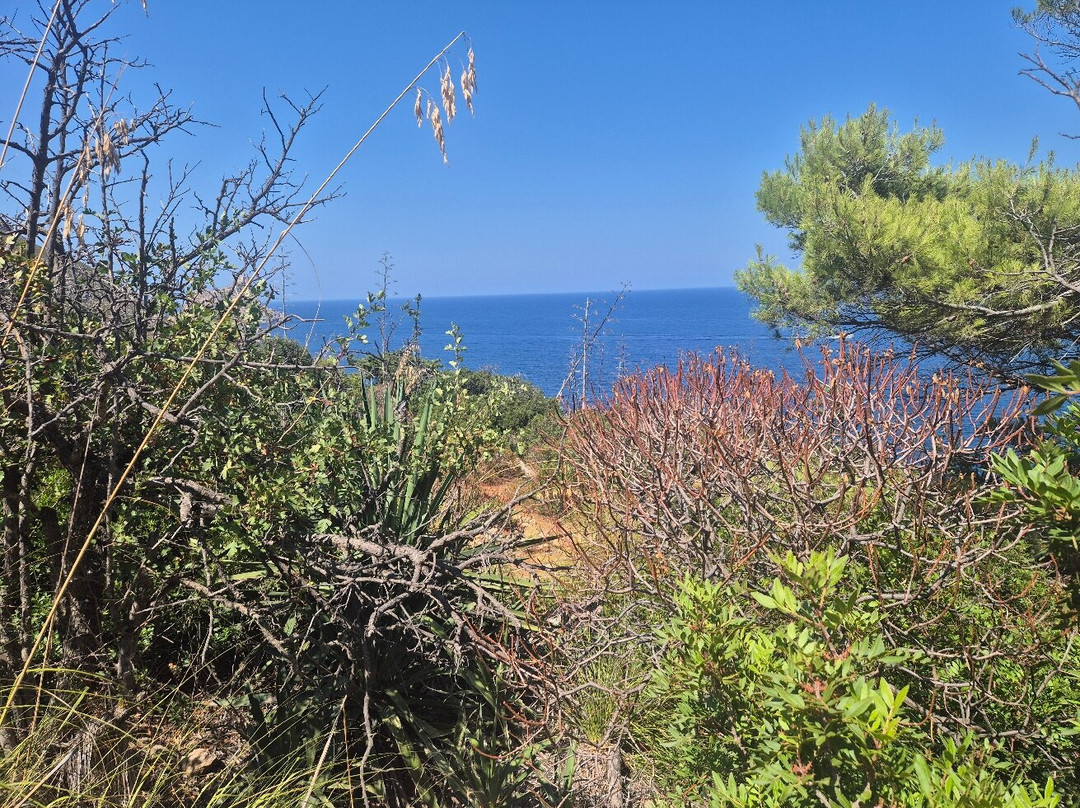 Castello Di Punta Troia-Marettimo必去景点