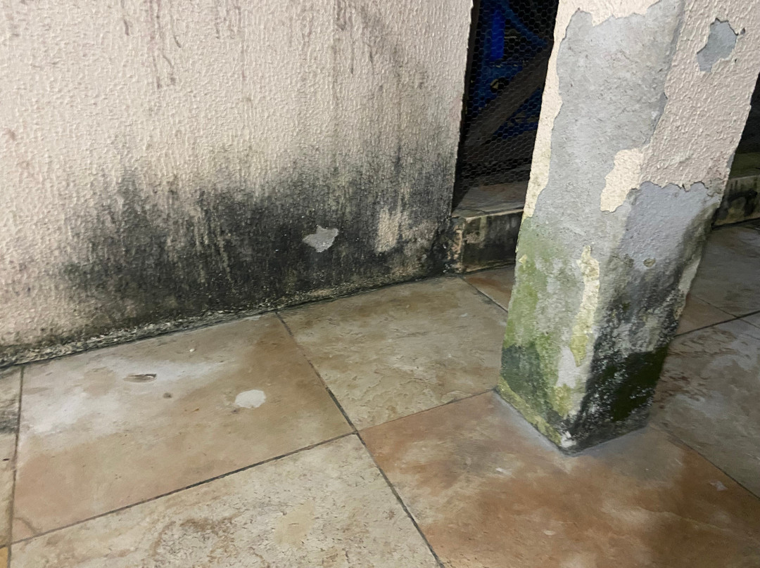 Hotel Gruta da Serra主图
