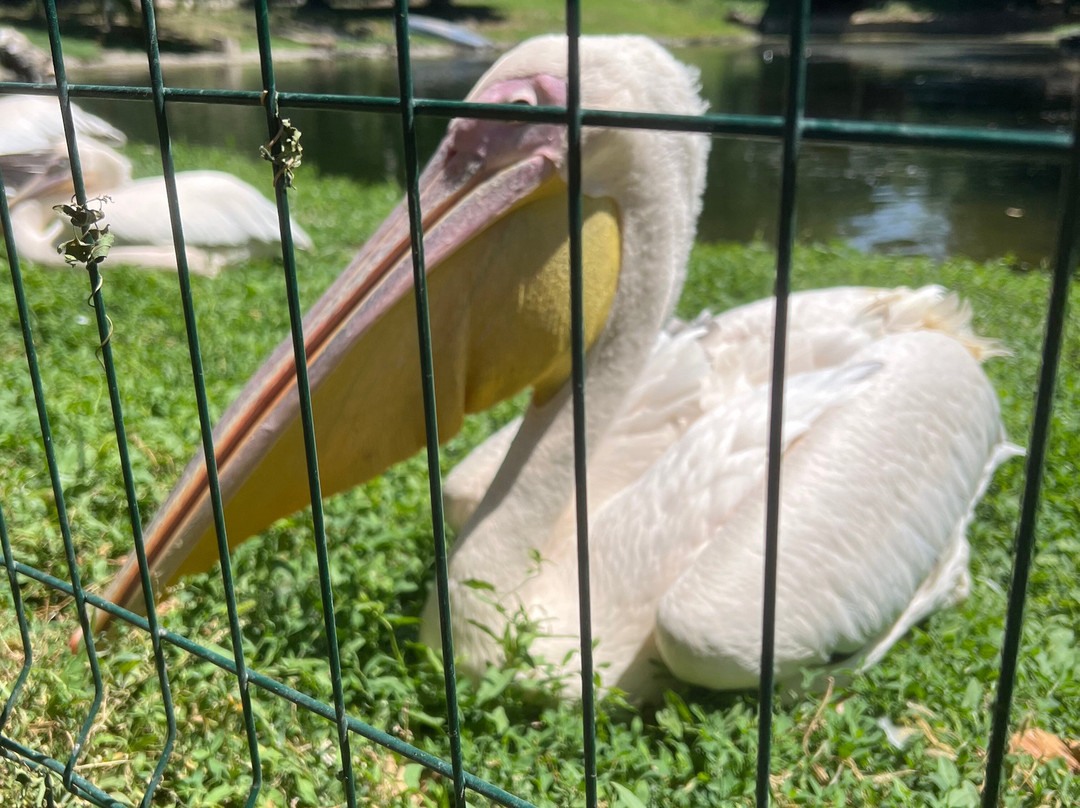 Almaty Zoo-阿拉木图必去景点