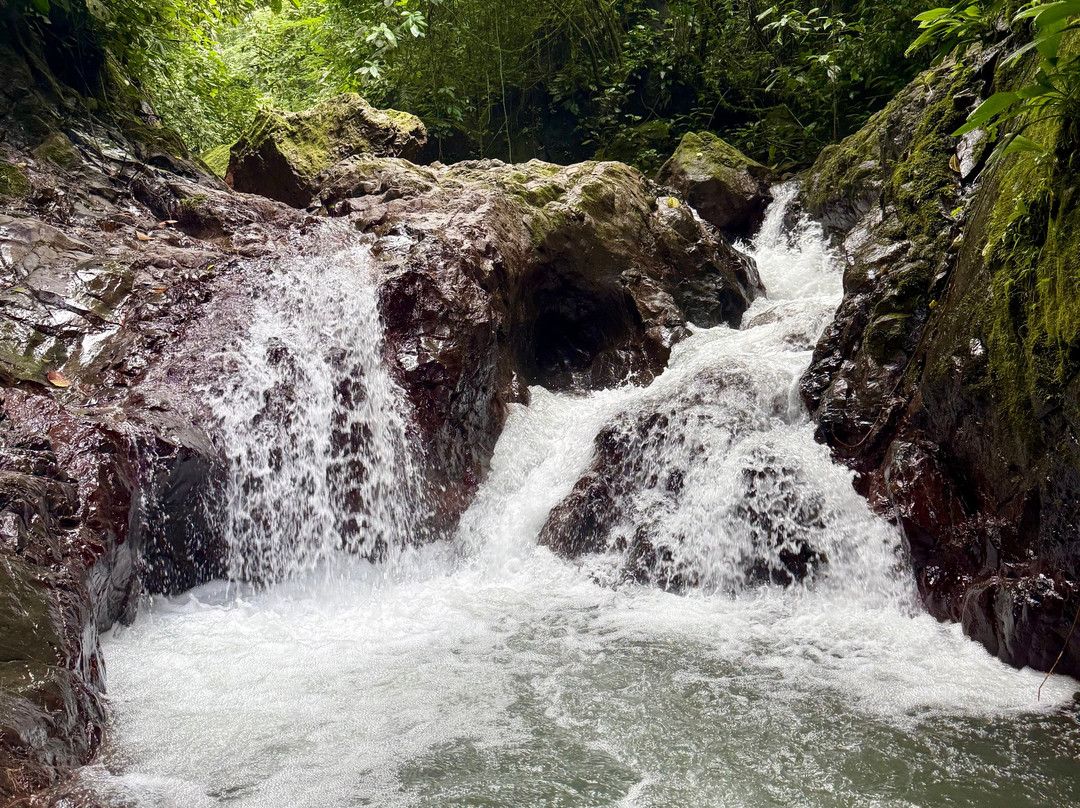 Rainmaker Park-帕利塔必去景点