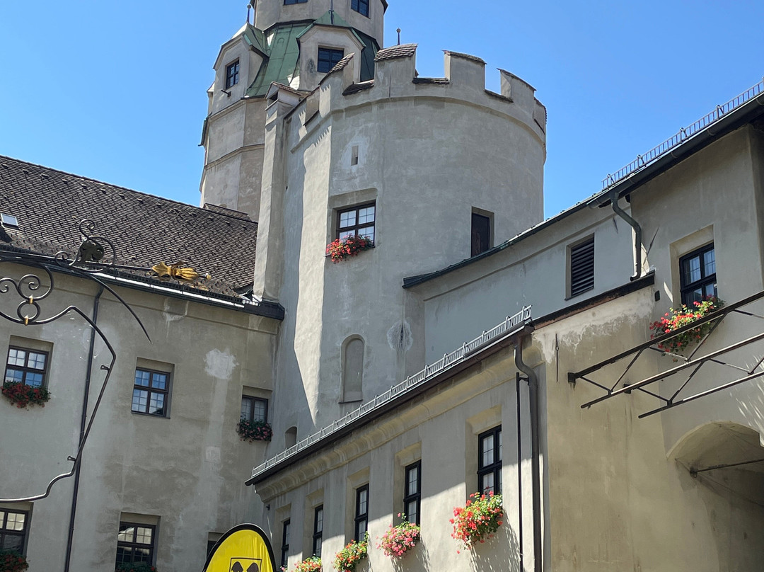 Muenze Hall-哈尔堤侯必去景点