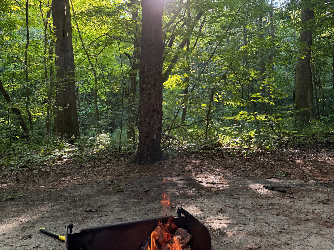 Port Burwell Provincial Park-Port Burwell必去景点